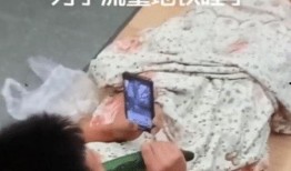 网红吃瓜视频直播,揭秘娱乐圈幕后故事